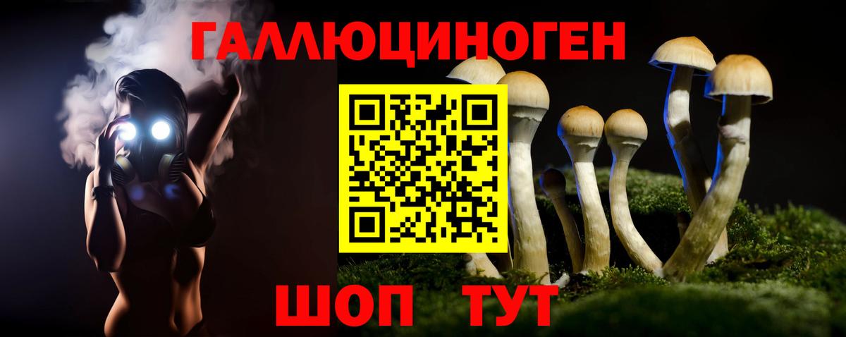 Геленджик  Псилоцибиновые грибы GOLDEN TEACHER  Вход с VPN 